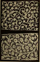 Picture 119 of 216 from Dentelles et guipures : anciennes et modernes, imitations ou copies. Varieté des genres et des points. 52 portraits documentaires, 249 échantillons de dentelles, collerettes, fraises, manchettes, rabats, etc. (1904), leaf 205