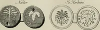 Picture 9 of 17 from De numis hebraeo-samaritanis (1781), leaf 108