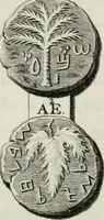 An illustration from De numis hebraeo-samaritanis (1781)