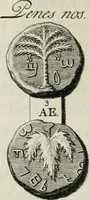 Picture 11 of 17 from De numis hebraeo-samaritanis (1781), leaf 119