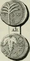 An illustration from De numis hebraeo-samaritanis (1781)