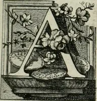 Picture 4 of 17 from De numis hebraeo-samaritanis (1781), leaf 22