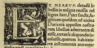 An illustration from De nuper sub D. Carolo repertis insulis, simulq[ue] incolarum moribus, R. Petri Martyris, enchiridion (1521)