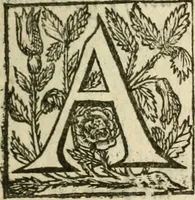 Picture 3 of 55 from Den wech des eeuwich levens (1622), leaf 10