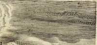 An illustration from Den wech des eeuwich levens (1622)