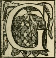Picture 10 of 55 from Den wech des eeuwich levens (1622), leaf 28