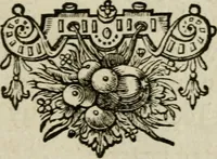 An illustration from Den wech des eeuwich levens (1649)