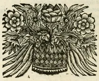 Picture 11 of 22 from De on-ghemaskerde liefde des Hemels : tot weder-liefde door verscheyden beweegh-redenen, aen-spraecken ende betrachtinghen : verciert met schoone sinne-belden (1686), leaf 128