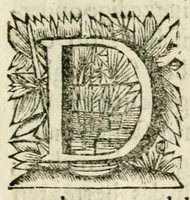 An illustration from De on-ghemaskerde liefde des Hemels : tot weder-liefde door verscheyden beweegh-redenen, aen-spraecken ende betrachtinghen : verciert met schoone sinne-belden (1686)