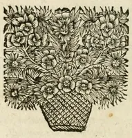 Picture 17 of 22 from De on-ghemaskerde liefde des Hemels : tot weder-liefde door verscheyden beweegh-redenen, aen-spraecken ende betrachtinghen : verciert met schoone sinne-belden (1686), leaf 236