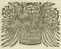 Picture 8 of 22 from De on-ghemaskerde liefde des Hemels : tot weder-liefde door verscheyden beweegh-redenen, aen-spraecken ende betrachtinghen : verciert met schoone sinne-belden (1686), leaf 83