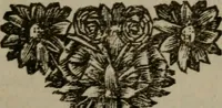 Picture 3 of 52 from De Onwaardige Wereld (1728), leaf 6