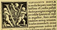 An illustration from De optimo reip. statu, deque noua insula Vtopia, libellus uere aureus, nec minus salutaris quám festiuus, (1518)