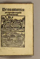 An illustration from De ora antarctica per regem Portugallie pridem inuenta (1505)