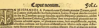 Picture 10 of 11 from De orbe nouo Petri Martyris ab Angleria Mediolanensis protonotarij C[a]esaris senatoris decades (1530), leaf 209