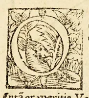 Picture 4 of 6 from De orbis situ ac descriptione, ad reuerendiss. D. archiepiscopum Panormitanum, Francisci, monachi ordinis Fra[n]ciscani, epistola sane qua[m] luculenta. : In qua Ptolemæi, cæterorumq[ue] superioru[m] geographorum hallucinatio refellitur, aliaq[ue] præterea de recens inuentis terris, mari, insulis (1529), leaf 10