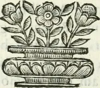 An illustration from De pace inter hispaniarum et galliarum reges habita : panegyrica dictio (1660)