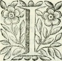 An illustration from De pace inter hispaniarum et galliarum reges habita : panegyrica dictio (1660)