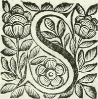 An illustration from De pace inter hispaniarum et galliarum reges habita : panegyrica dictio (1660)
