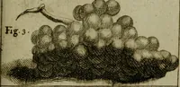 An illustration from Cours de peinture par principes (1708)