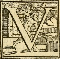 An illustration from De pesci romani (1560)