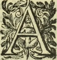 An illustration from De pestilentia Hieronymi Mercurialis Foroliuiensis medici praeclarissimi lectiones habitae Patauii M.D.LXXVII mense Ianuarii : in quibus de peste in vniuersum, praesertim vero de Veneta, & Patauina, singulari quadam eruditione tractatur (1577)