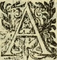 An illustration from De pestilentia Hieronymi Mercurialis Foroliuiensis medici praeclarissimi lectiones habitae Patauii M.D.LXXVII mense Ianuarii : in quibus de peste in vniuersum, praesertim vero de Veneta, & Patauina, singulari quadam eruditione tractatur (1577)