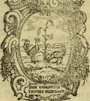 Picture 1 of 31 from De pestilentia Hieronymi Mercurialis Foroliuiensis medici praeclarissimi lectiones habitae Patauii M.D.LXXVII mense Ianuarii : in quibus de peste in vniuersum, praesertim vero de Veneta, & Patauina, singulari quadam eruditione tractatur (1577), leaf 4