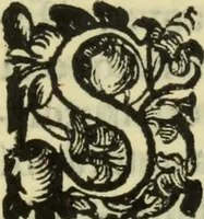 An illustration from De pestilentia Hieronymi Mercurialis Foroliuiensis medici praeclarissimi lectiones habitae Patauii M.D.LXXVII mense Ianuarii : in quibus de peste in vniuersum, praesertim vero de Veneta, & Patauina, singulari quadam eruditione tractatur (1577)
