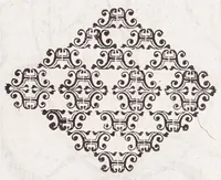 An illustration from De plantis exoticis libri duo Prosperi Alpini, philosophi medici, in gymnasium Patauino medicamentorum simplicium professoris ordinarij, & horti medici praefecti : opus completum, editum studio, ac opera Alpini Alpini, phylosophi & medici auctoris filij (1627)