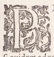 An illustration from De plantis exoticis libri duo Prosperi Alpini, philosophi medici, in gymnasium Patauino medicamentorum simplicium professoris ordinarij, & horti medici praefecti : opus completum, editum studio, ac opera Alpini Alpini, phylosophi & medici auctoris filij (1627)