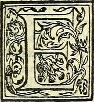 An illustration from De plantis libri XVI (1583)