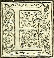An illustration from De plantis libri XVI (1583)