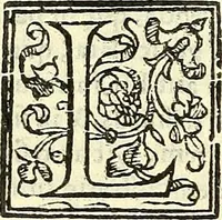 An illustration from De plantis libri XVI (1583)