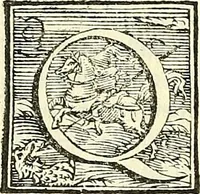 Picture 10 of 19 from De plantis libri XVI (1583), leaf 361