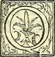 Picture 11 of 19 from De plantis libri XVI (1583), leaf 414