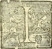 Picture 14 of 19 from De plantis libri XVI (1583), leaf 549