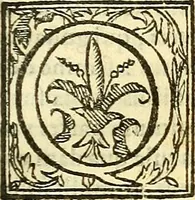 An illustration from De plantis libri XVI (1583)