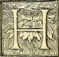 Picture 16 of 19 from De plantis libri XVI (1583), leaf 607