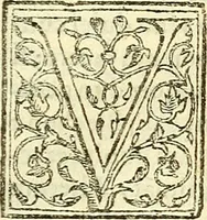 Picture 17 of 19 from De plantis libri XVI (1583), leaf 634