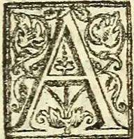 Picture 18 of 19 from De plantis libri XVI (1583), leaf 666