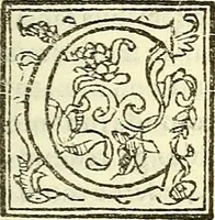 An illustration from De plantis libri XVI (1583)