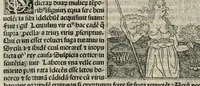 An illustration from De plurimis claris sceletisq mulieribus opus prope diuinu novissime congestum
