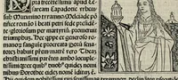 An illustration from De plurimis claris sceletisq mulieribus opus prope diuinu novissime congestum
