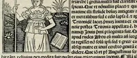 An illustration from De plurimis claris sceletisq mulieribus opus prope diuinu novissime congestum