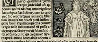An illustration from De plurimis claris sceletisq mulieribus opus prope diuinu novissime congestum
