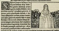 An illustration from De plurimis claris sceletisq mulieribus opus prope diuinu novissime congestum