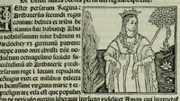 An illustration from De plurimis claris sceletisq mulieribus opus prope diuinu novissime congestum