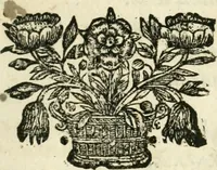 An illustration from De ponderibus et mensuris veterum Romanorum, Graecorum, Hebraeorum; nec non de valore pecuniae veteris, disquisito. Accesserunt hac editione tabulae scioppii nummariae et ex variis auctoribus de pecunia Romanorum excerpt (1737)