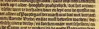 An illustration from De Portogysen goeden buyrman. : Ghetrocken uyt de registers van syn goet gebuerschap gehouden in Lisbona, Maringan, Caep Sint Augustijn, Sint Paulo de Loando, en Sant Tomée. Dienende tot antwoort op het ongefondeerde Brasyls-Schuyt-praetjen, weest onnosel als de duyven, en voorsichtich als de slangen (1649)